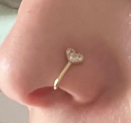 Nose Studs - Heart Shape